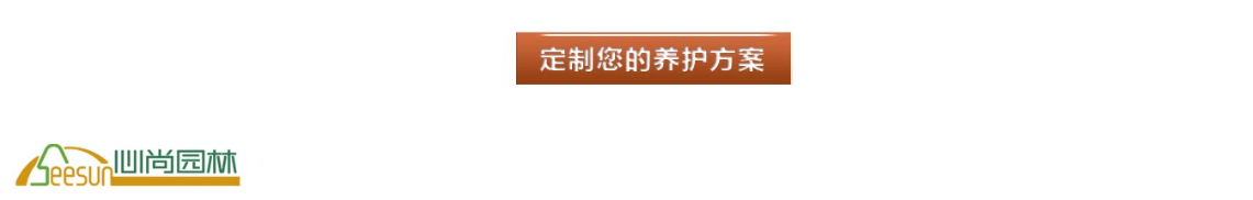 88858cc��������(Macau)�������޹�˾