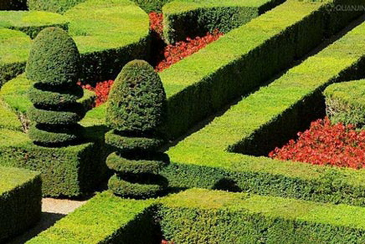 88858cc��������(Macau)�������޹�˾